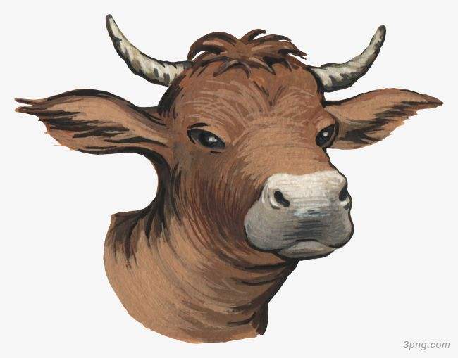 吉林市舒蘭市天德鄉(xiāng)反芻技術交流會圓滿成功！