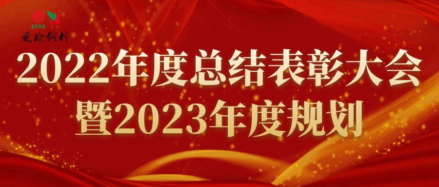 2022年度總結表彰大會暨2023年度規(guī)劃